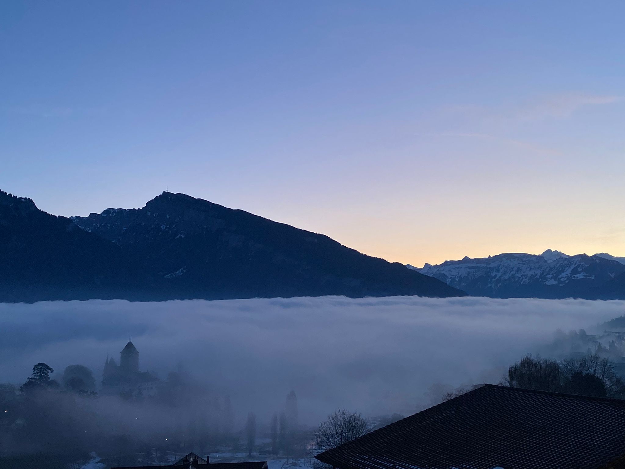 Spiez Im Winternebel2