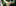 Hochzeit Unsplash