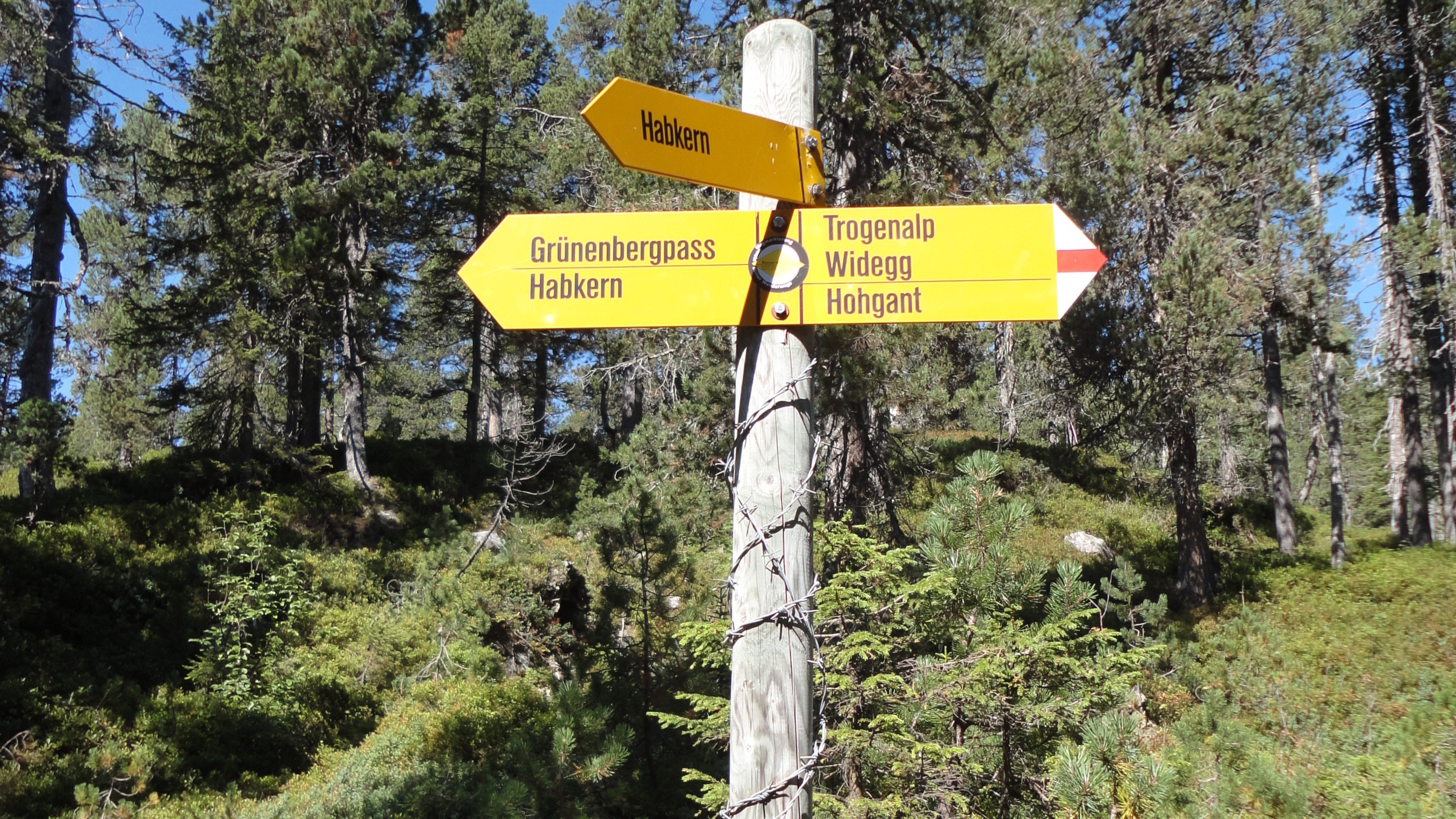 Wandergruppe Frohes Alter sucht Leitung