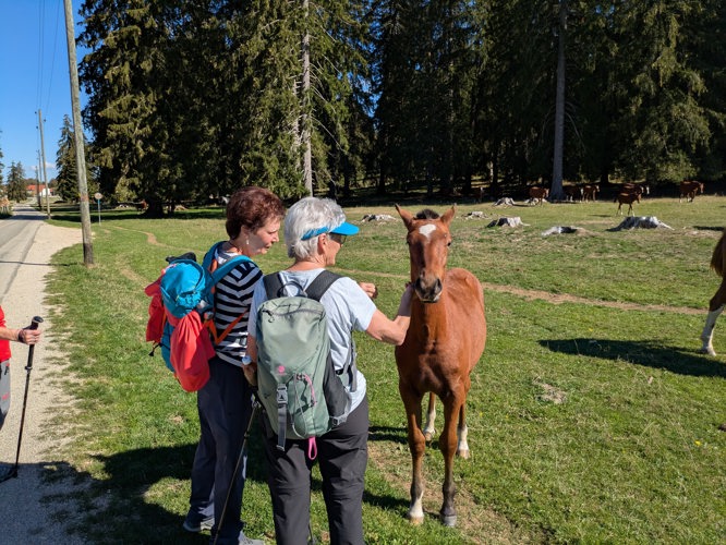 Wanderung Jura 6