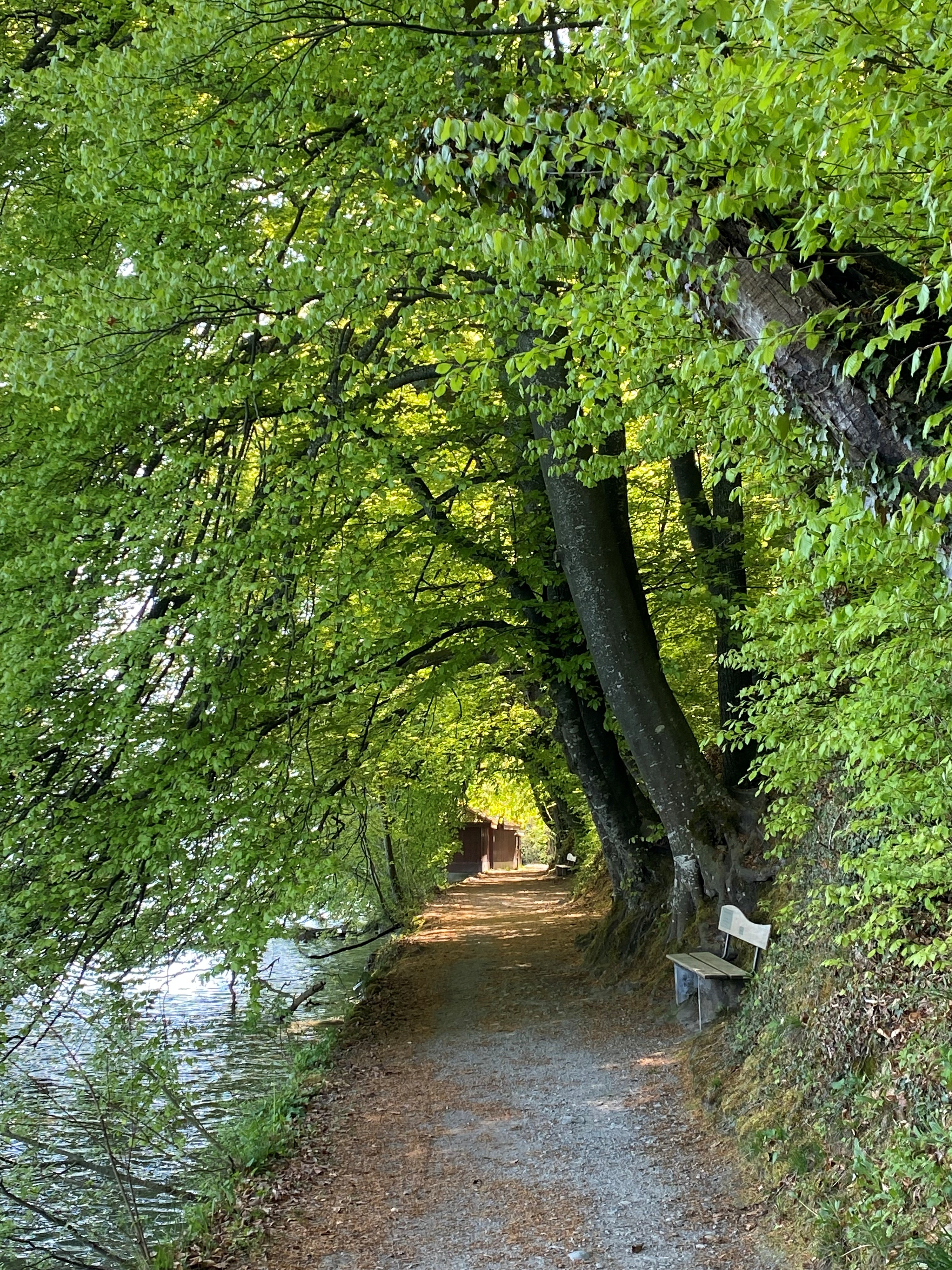 Spiez Strandweg