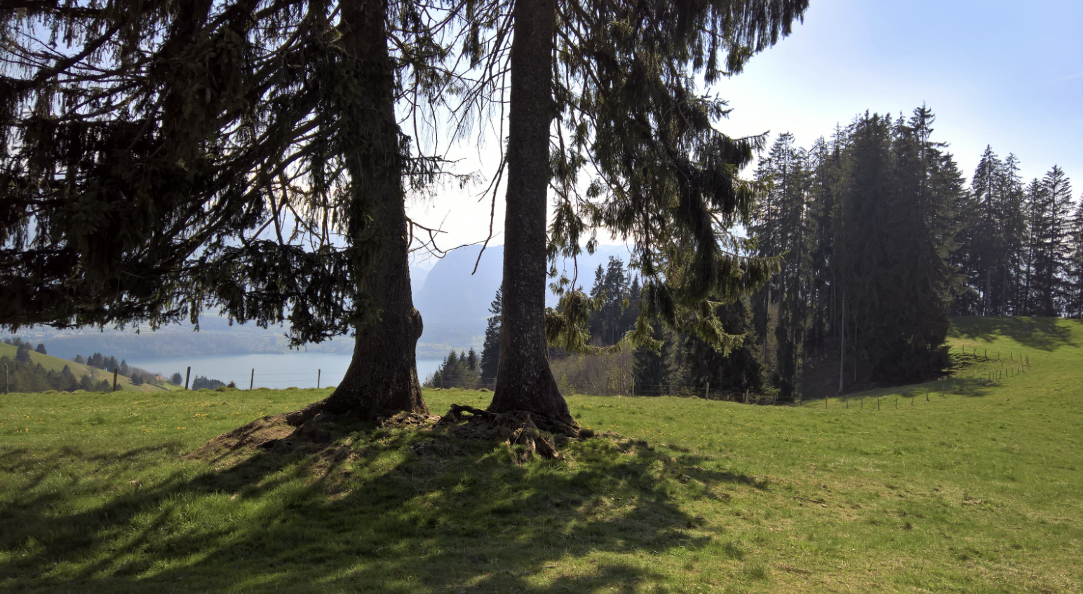 Bildschirmfoto 2025 06 23 Um 17.10.35