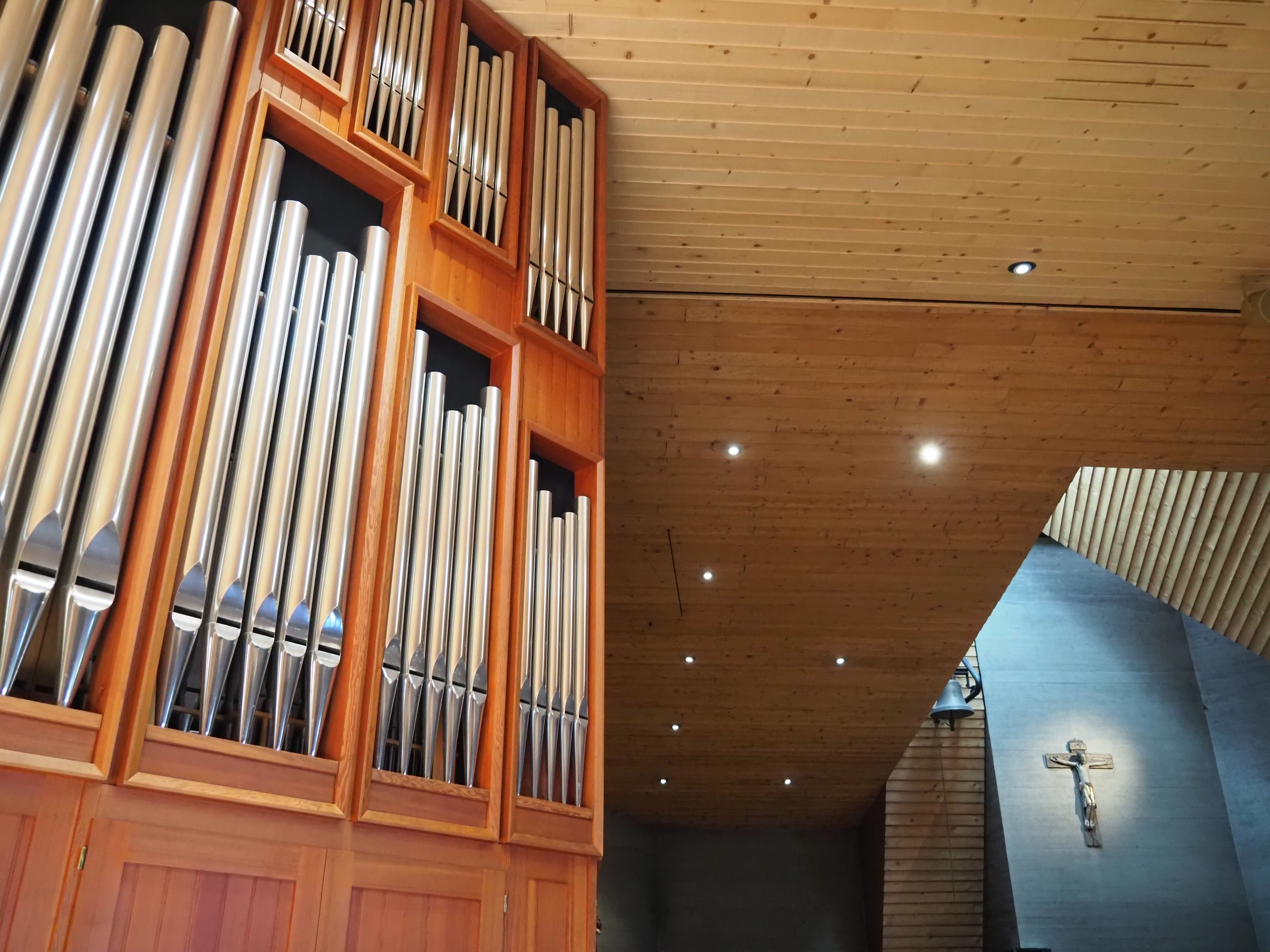 Organist:innen