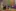 Csm DSC08972 1D508cbd97