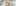 25 Goldene Hochzeit Sandy Millar 8Vaqkynawhw Unsplash