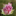 Bildschirmfoto 2026 02 23 Um 170344