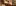 Kaffeemaschine Canva Für Kaffeestube1