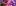 Vonecia Carswell 0Ammmujiieq Unsplash 1