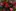 Senior:innenbesuche
