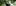 Sven Mieke Zla7c39dffk Unsplash