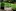 Congerdesign Garden Plants 6204106